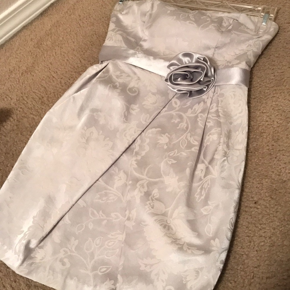 Silver Dress